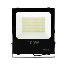 Projecteur LED 100W IP66