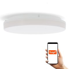 Plafonnier extérieur 24W Wifi CCT IP54